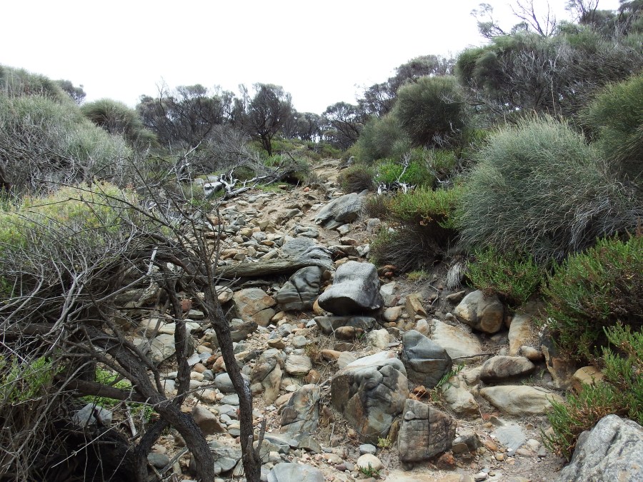 The path back up the hill