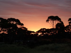 Sunset in Norseman