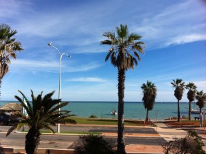View from the Waterfront Balcony