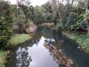 Broken River - home of the platypus
